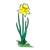 Yellow Flower Color PNG