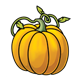 Light Orange Pumpkin with long vine