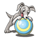 Gray Puppy playing with ball