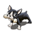 Black and White Puppy Color PNG