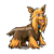 Brown and Black Dog Color PNG