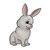 Gray Rabbit Color PDF