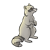 Gray Raccoon Color PNG