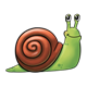 Green Snail with brown shell and spots