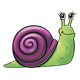 Green Snail with purple shell and spots