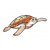 Brown Sea Turtle Color PDF