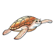 Brown Sea Turtle 