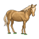 Brown Horse standing, with light tan mane