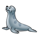 Gray Seal with dark gray spots