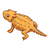 Horned Lizard Color PDF