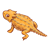 Horned Lizard Color PNG
