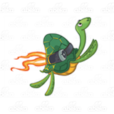 Soaring Turtle