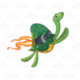 Soaring Turtle