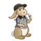 Brown Rabbit in referee outfit