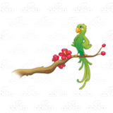 Green Parrot