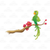 Green Parrot
