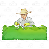 Gardener