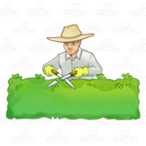 Gardener