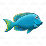 Blue Fish