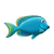 Blue Fish Color PDF