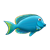 Blue Fish Color PNG