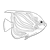 Yellow Fish Line PNG