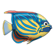Yellow Fish with blue stripes