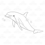 Gray Dolphin