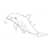 Gray Dolphin Line PDF