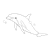 Gray Dolphin Line PNG