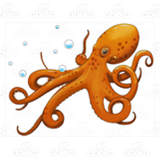 Octopus