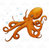 Octopus