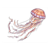 Jellyfish Color PDF