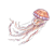 Jellyfish Color PNG