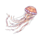 Jellyfish with long tentacles