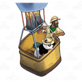 Hot Air Balloon