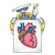 Robot Color PNG