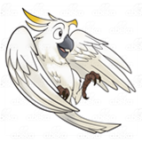 White Bird