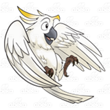 White Bird