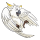 White Bird flying backward