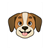 Facial Expression Color PDF