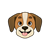 Facial Expression Color PNG