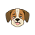 Facial Expression Color PNG