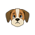 Facial Expression Color PNG