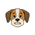 Facial Expression Color PNG