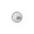 Spanish Coin 10 Color PNG
