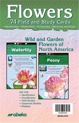 Flowers Field and Study Cards