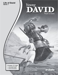 Young David Lesson Guide