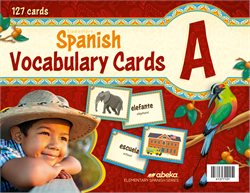 Elementary Spanish A Vocabulary Cards&#8212;New