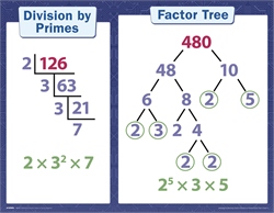 Arithmetic 6 Teaching Charts—New